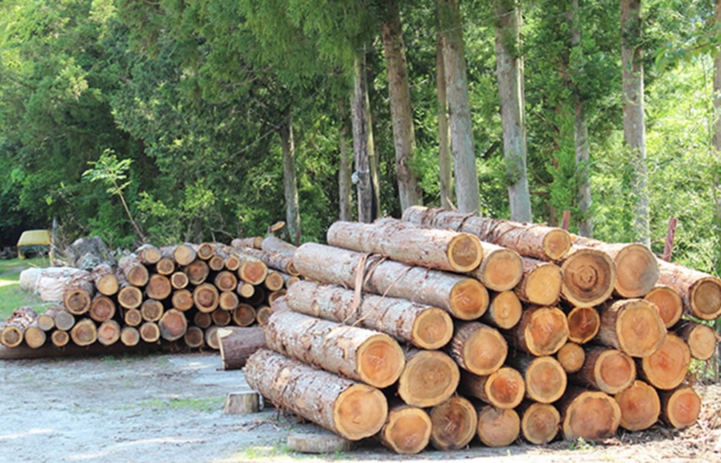 地域資源を活かした持続可能な家づくり